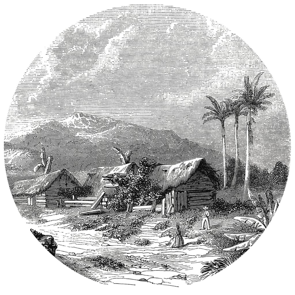 Wallart Wallart Wallow Circle Landage de Guadeloupe 190 cm