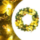 Vidaxx couronne de Noël avec éclairage LED vert 60 cm PVC