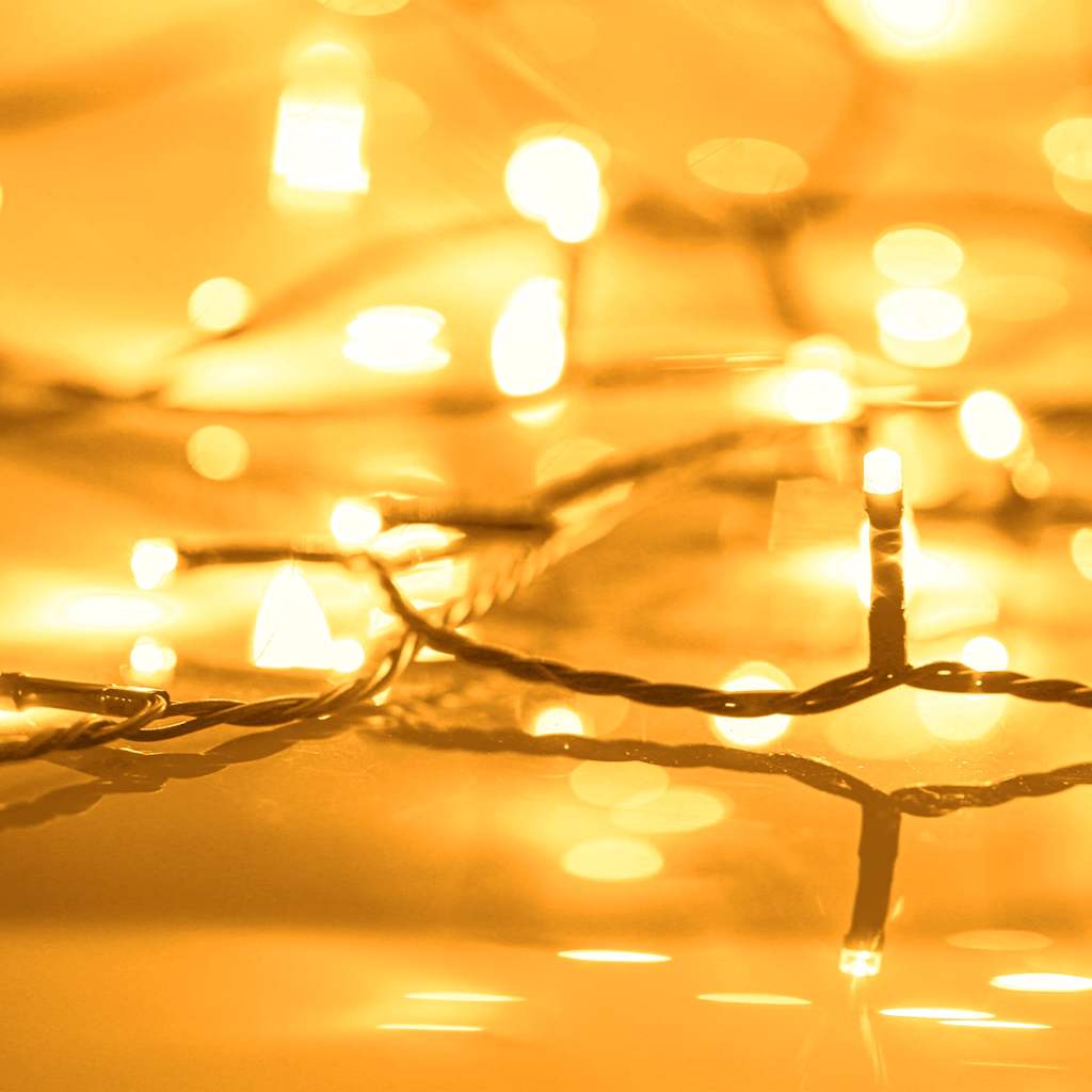 Vidaxl Light Cord 2000 LEDS pour l'intérieur et l'extérieur IP44 200 m blanc chaud