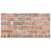 Vidaxl 10 St Panneaux muraux 3D EPS de briques rouges