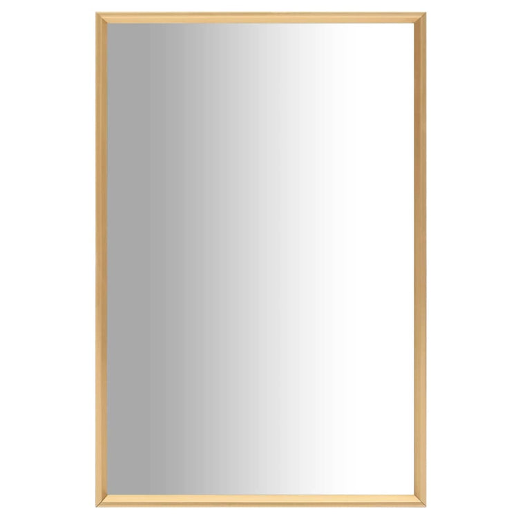 Miroir vidaxl 60x40 cm de couleur or