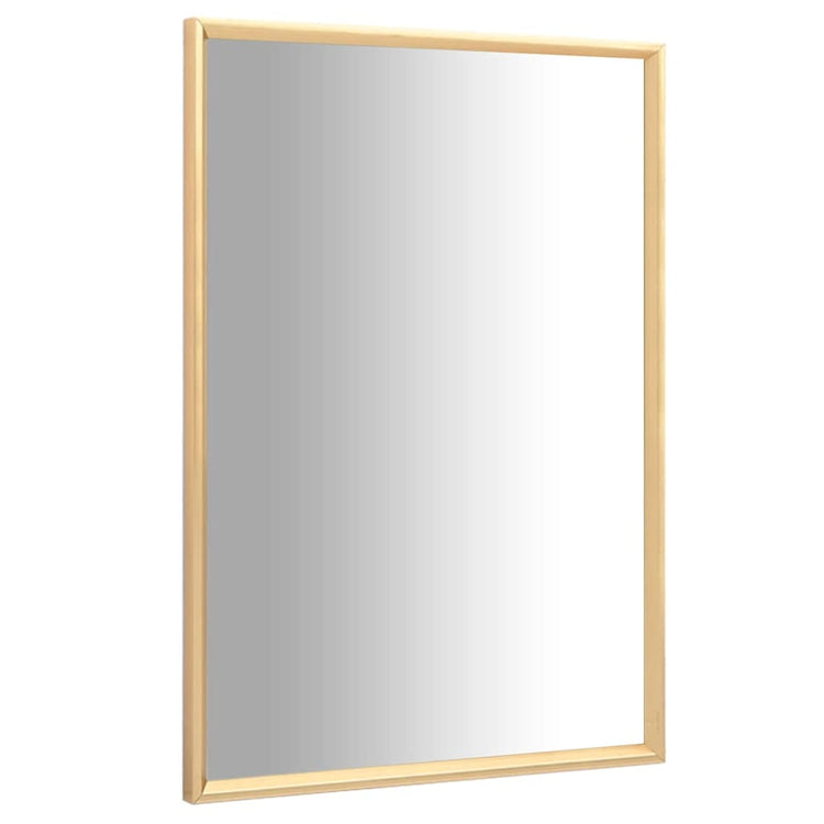 Miroir vidaxl 60x40 cm de couleur or