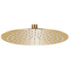 Vidaxl Pluie Shower Head Round 25 cm en acier inoxydable or couleur or