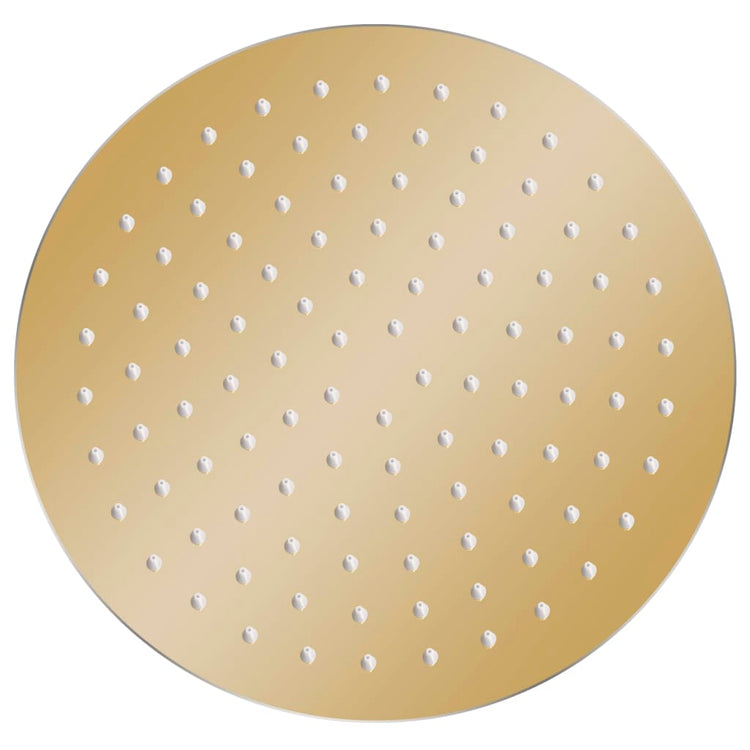 Vidaxl Pluie Shower Head Round 25 cm en acier inoxydable or couleur or