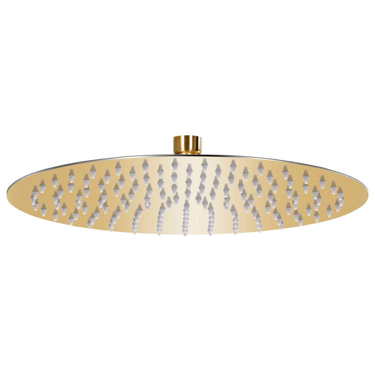 Vidaxl Pain Shower Head Round 30 cm en acier inoxydable or Couleurs
