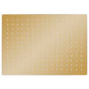 Vidaxl Rain Shower Head rectangular 40x30 cm en acier inoxydable or coloré