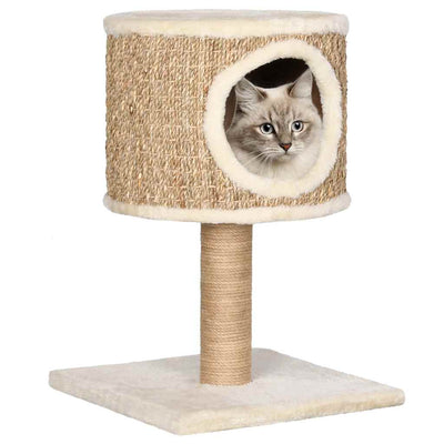 Meubles de chat Vidaxl avec maison et grattage post 52 cm.