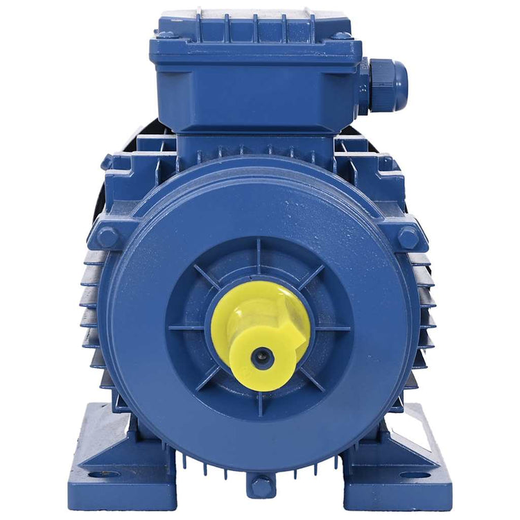 Vidaxl Motor électrique 3 phase 1,5 kW 2 HP 2-Polig 2840 RPM Aluminium