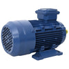 Vidaxl Motor électrique 3 phase 2,2 kW 3 HP 2-POLIG 2840 RPM Aluminium