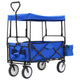 Vidaxl Handkar pliable avec Luifel en acier bleu