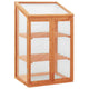 Vidaxl Greenhouse 60x45x100 cm Vurenhout