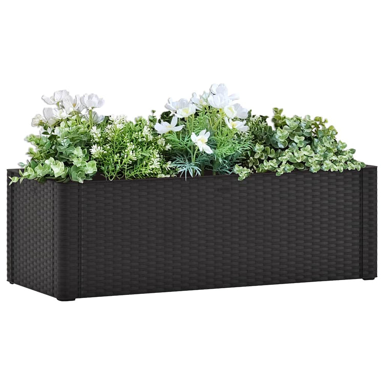 Vidaxl Planter Système d'auto-diffusion 100x43x33 cm anthracite