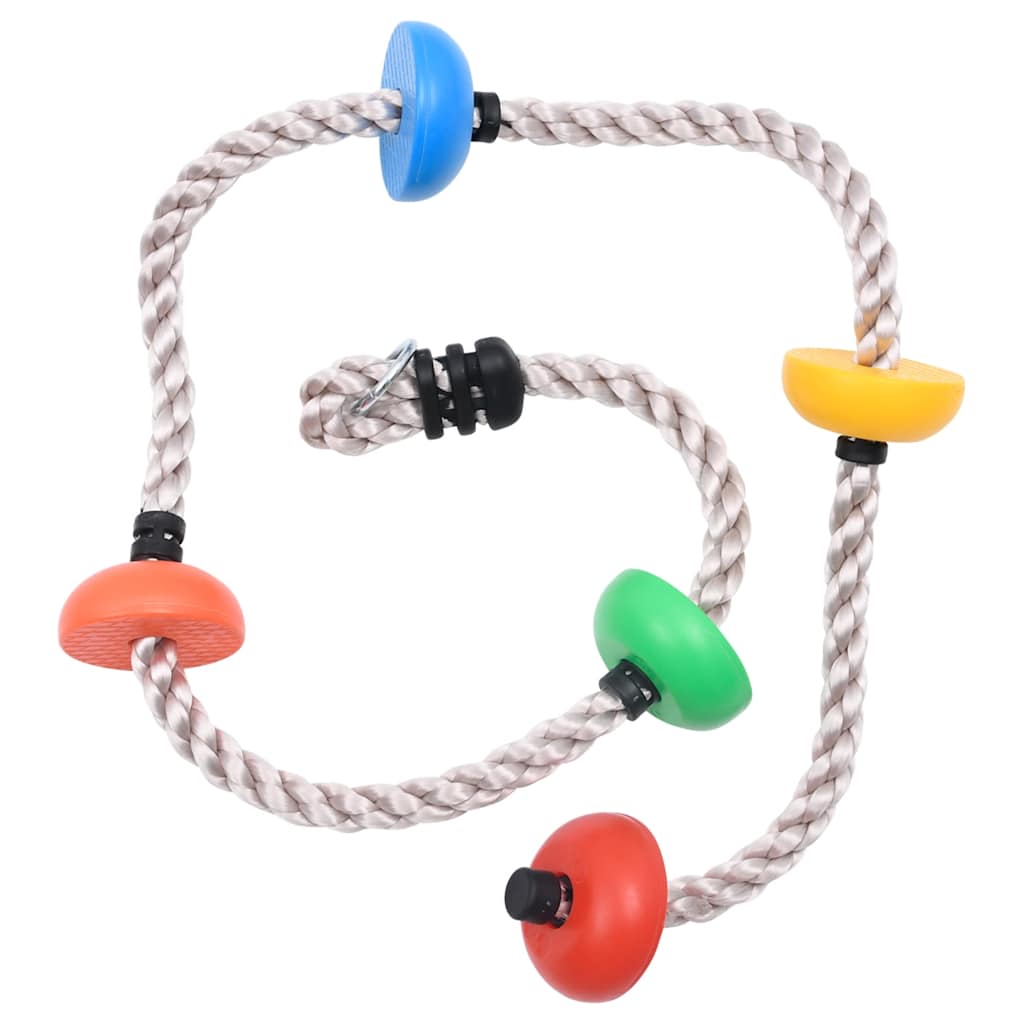 Corde d'escalade vidaxl avec des disques 200 cm