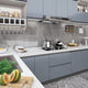 Vidaxl Meubles Huiles auto-adhésives 2 ST 500x90 cm PVC Gray