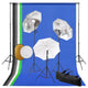 Vidaxl Photo Studio Studio avec des lampes, parapluies, fond et réflecteur