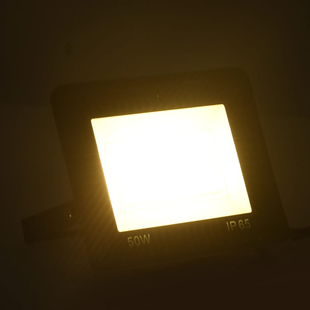Vidaxl Spotlight LED 50 W blanc chaud