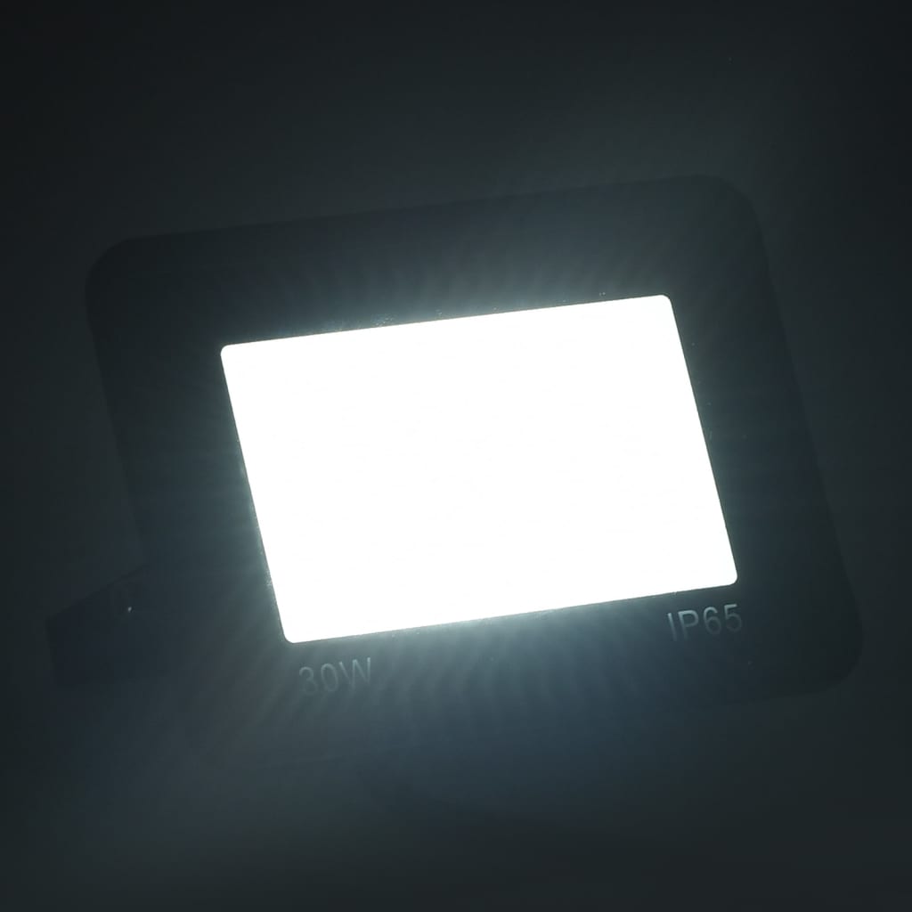 Vidaxl Spotlights 2 ST LED 30 W Cold White