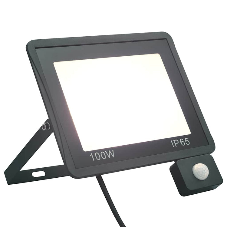 Spot VidaXL avec capteur LED 100 W blanc froid