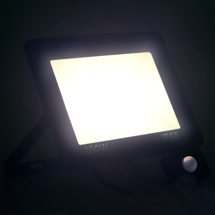 Spot VidaXL avec capteur LED 100 W blanc froid