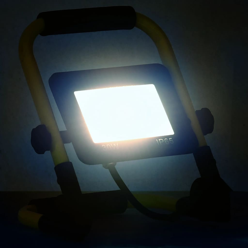 Spot VidaXL avec poignée LED 30 W blanc froid