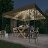 Vidaxl Arbor avec Garland Light Light 3x3 M Taupe