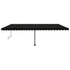 Vidaxl Luifel détaché étend manuellement l'anthracite 600x350 cm