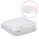 Vidaxl Kashoes remplacement (13,5 m²) 3x4,5x2 m transparent