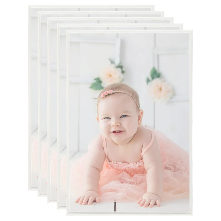 Vidaxl Photo Frames 5 PCS pour le tableau 21x29.7 cm MDF en argent coloré
