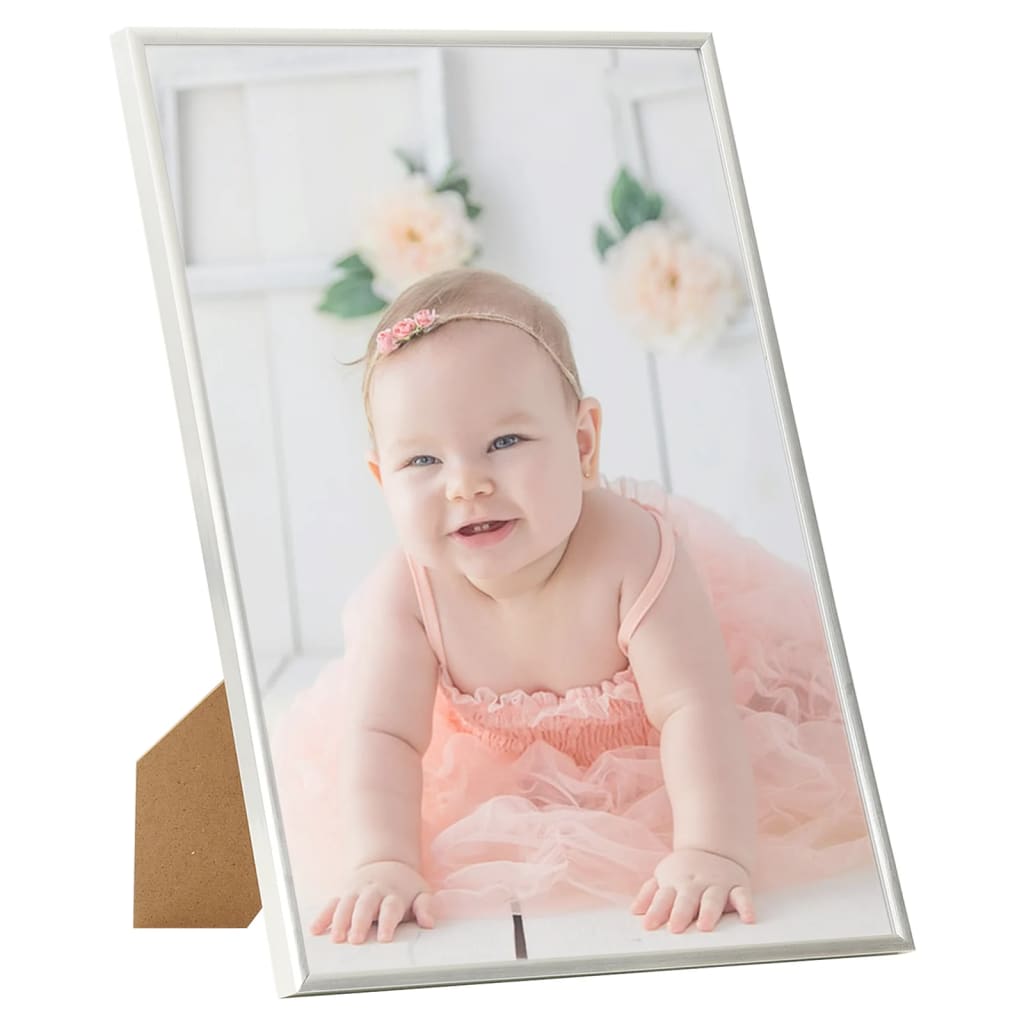 Vidaxl Photo Frames 5 PCS pour le mur ou le tableau 40x50 cm MDF en argent coloré