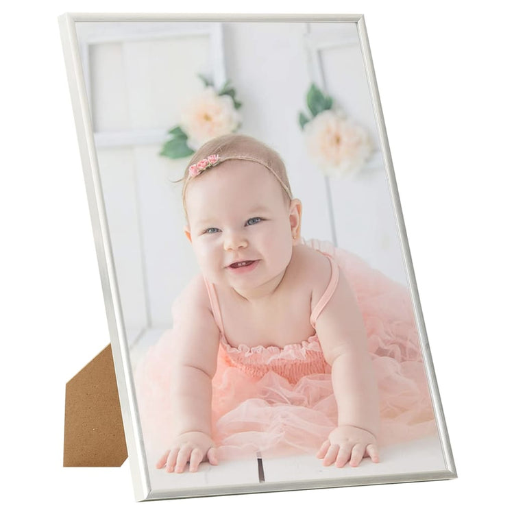 Vidaxl Photo Frames 5 PCS pour le mur ou le tableau 50x70 cm MDF en argent coloré