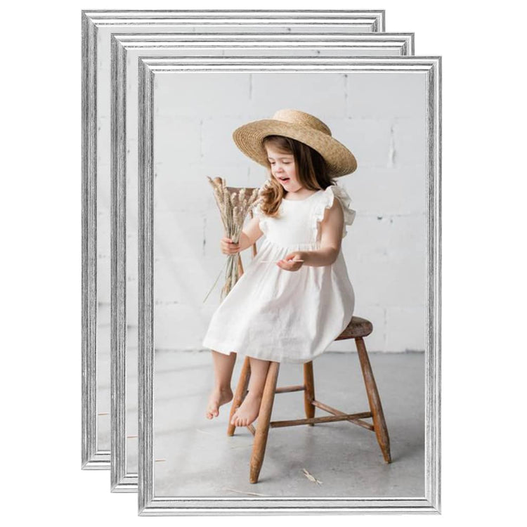 Vidaxl Photo Frames 3 PCS pour le tableau 21x29.7 cm Couleur en argent