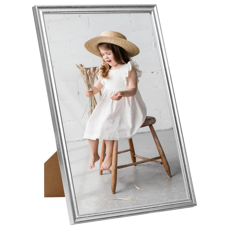 Vidaxl Photo Frames 3 PCS pour le tableau 21x29.7 cm Couleur en argent