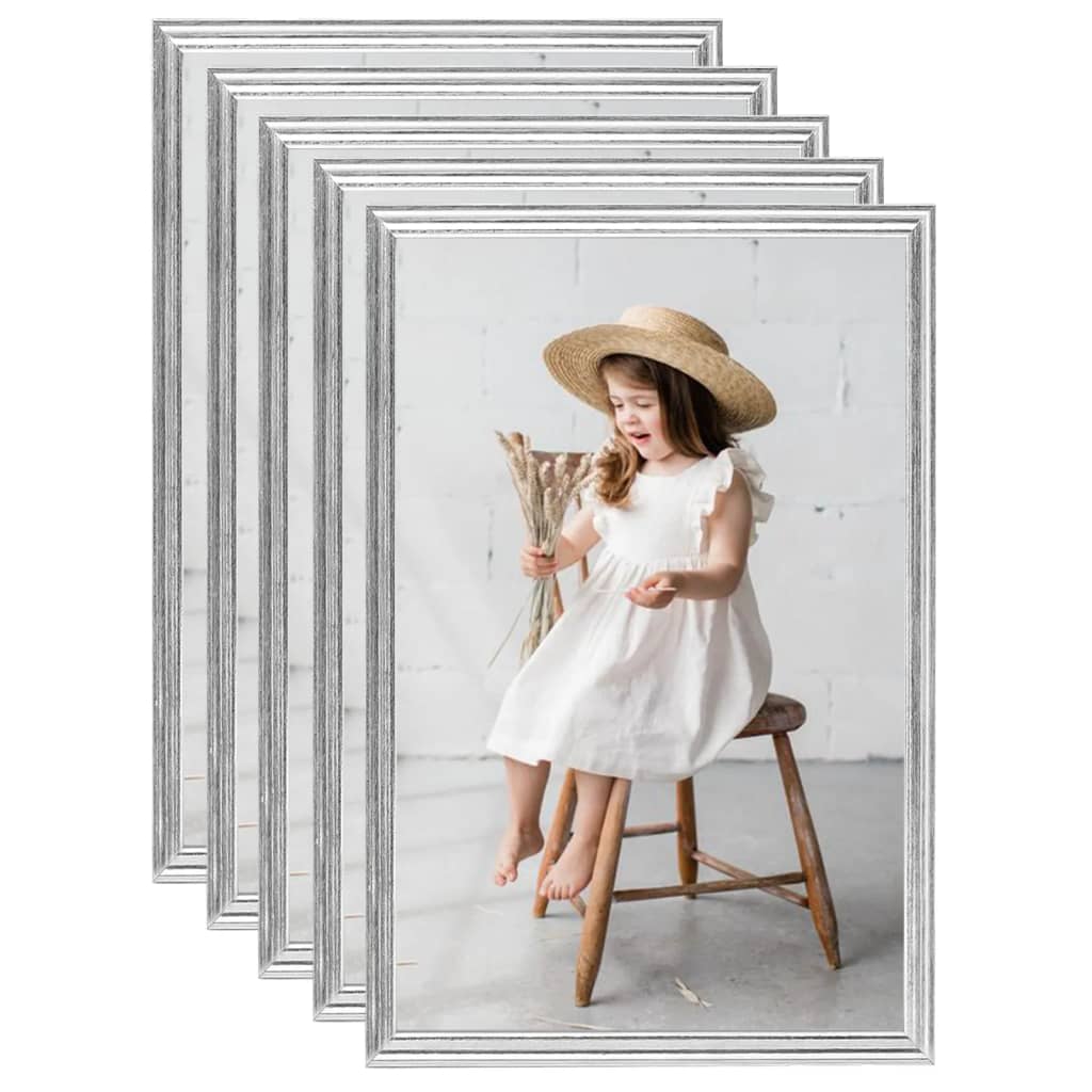 Vidaxl Photo Frames 5 PCS pour le mur ou le tableau 59.4x84 cm Couleurs en argent