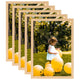 Vidaxl Photo Frames 5 m pour le mur ou le tableau 70x90 cm chêne léger -colored