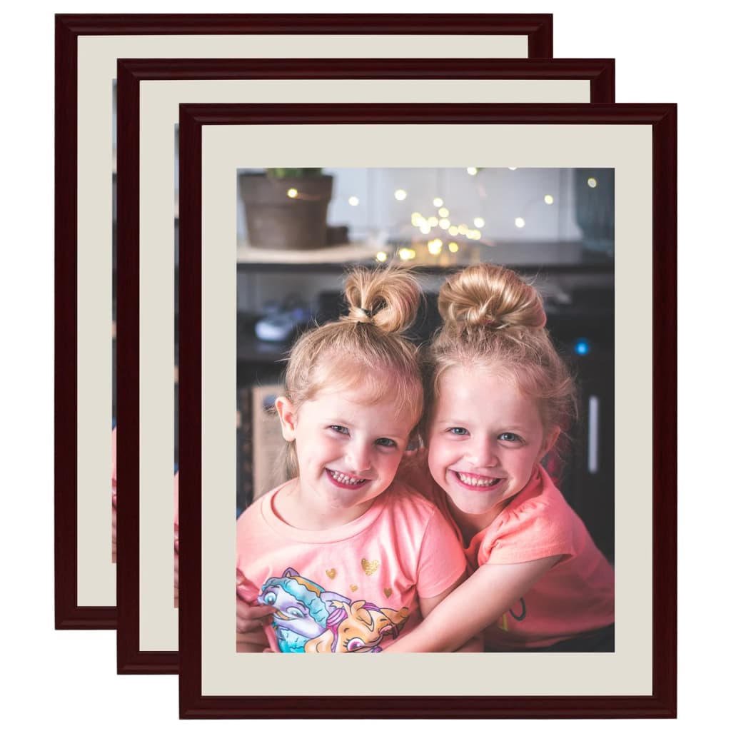 Vidaxl Photo Frames 3 PCS pour le tableau 18x24 cm rouge foncé
