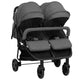 Vidaxl Twin Buggy Steel Gris foncé et noir