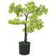 Vidaxl plante artificielle avec cipres de pot Bonsaï 60 cm vert