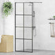 Vidaxl Walk-In Walking Mur 80x195 cm esg-glas transparent et noir