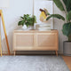 Portes d'armoire Vidaxl avec des lattes 2 pcs 39.5x49.4 cm Pine solide
