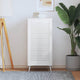 Porte d'armoire Vidaxl avec lattes 99.3x49.4 cm Pine solide blanc