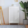 Porte d'armoire Vidaxl avec lattes 99.3x59.4 cm Pine solide blanc