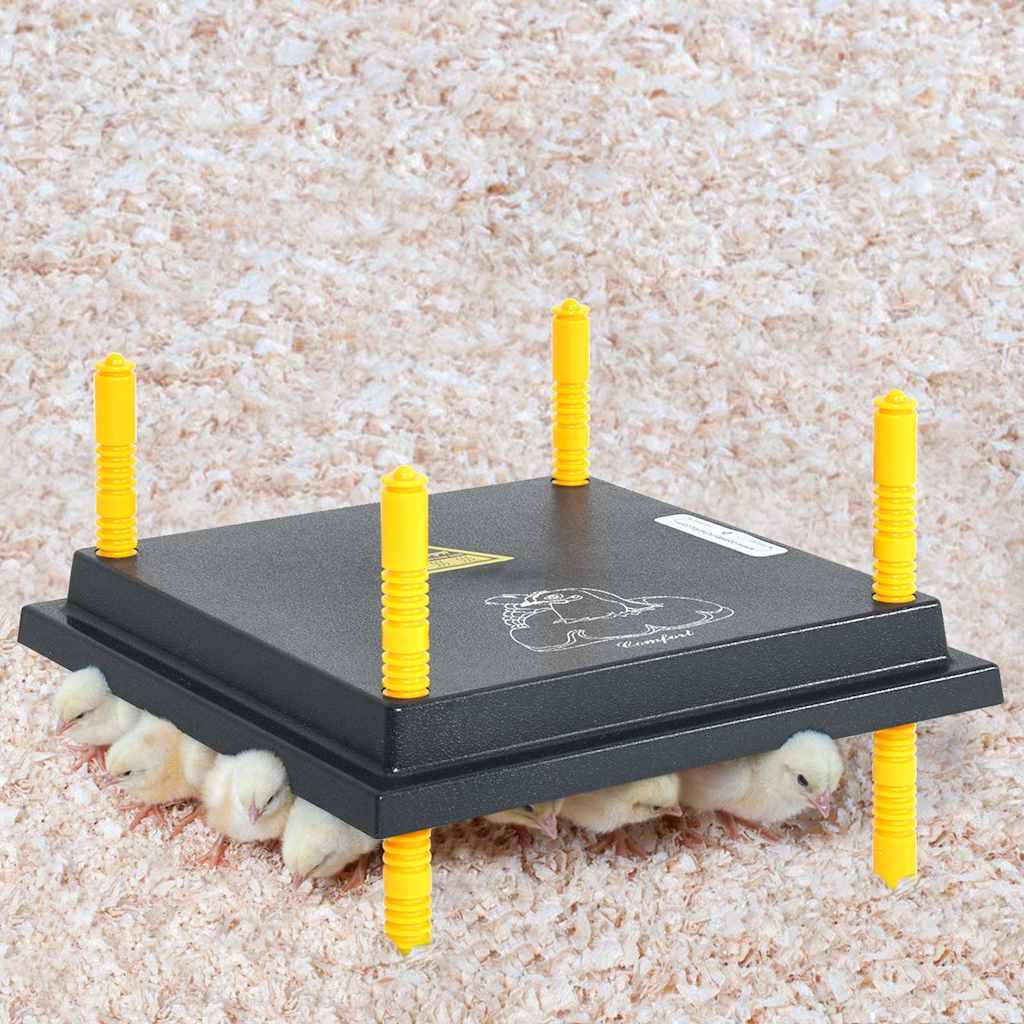 Plaque de chaleur vidaxl pour les poussins et les canards avec contrôleur de température