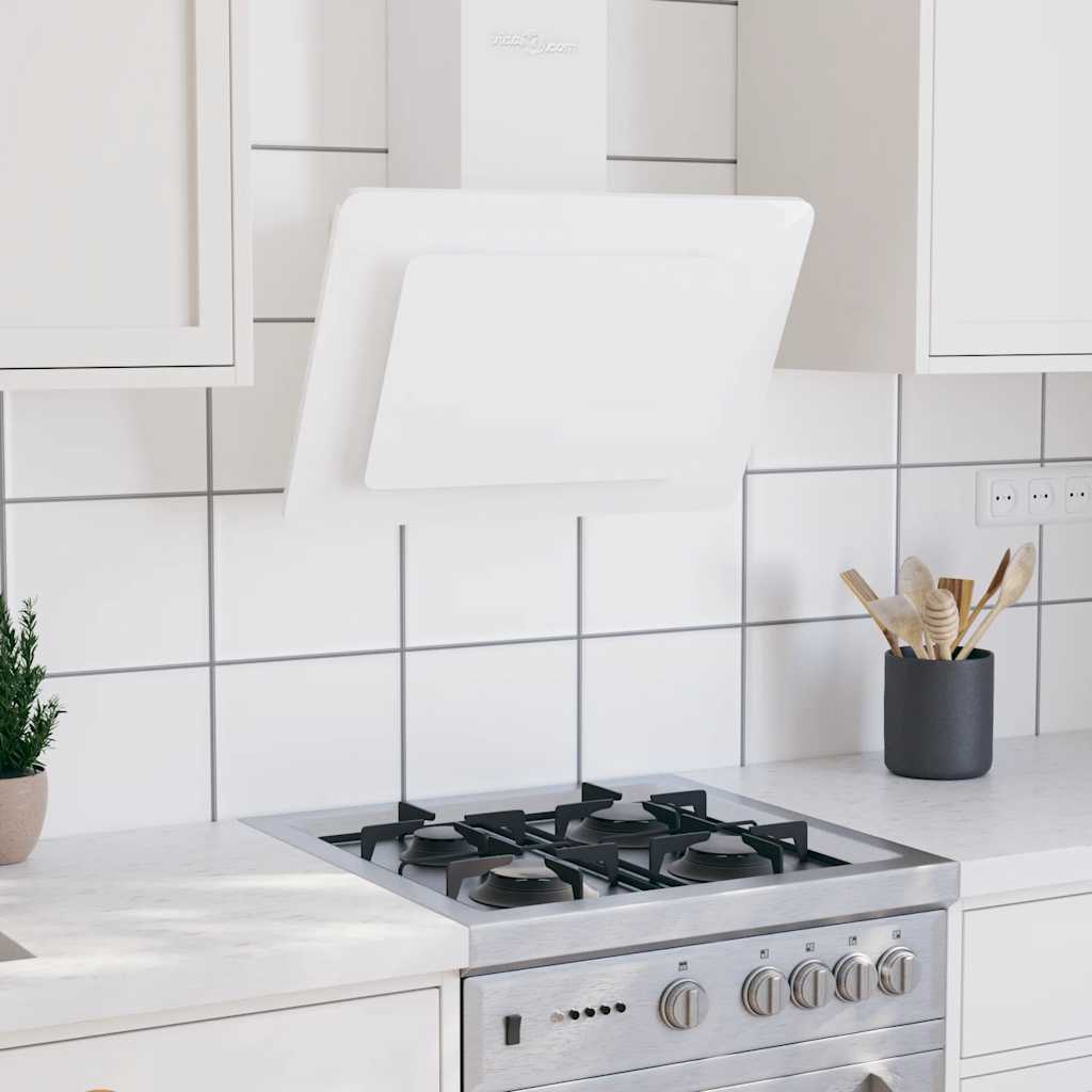 Capeur d'extracteur de paroi Vidaxl 60 cm en acier inoxydable et blanc durci blanc