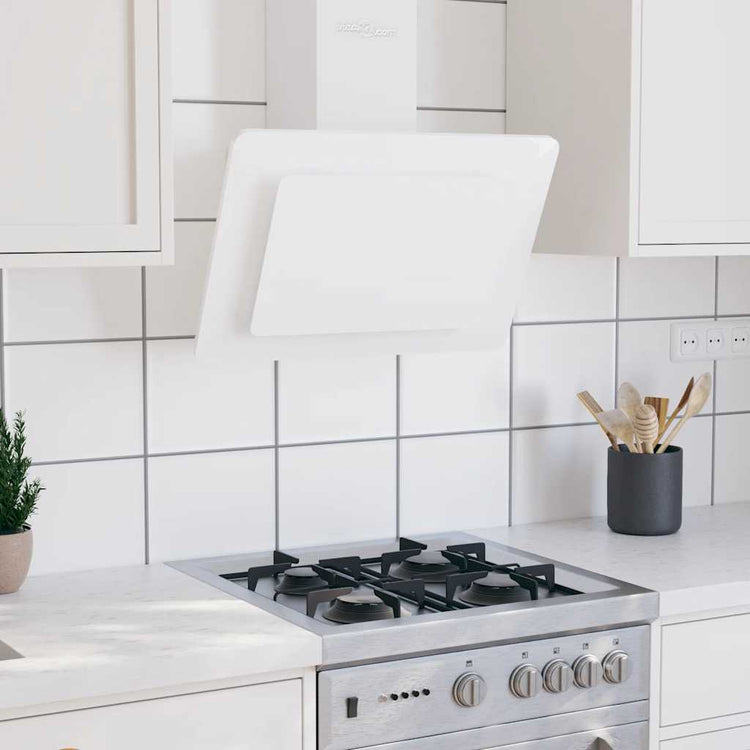 Capeur d'extracteur de paroi Vidaxl 60 cm en acier inoxydable et blanc durci blanc