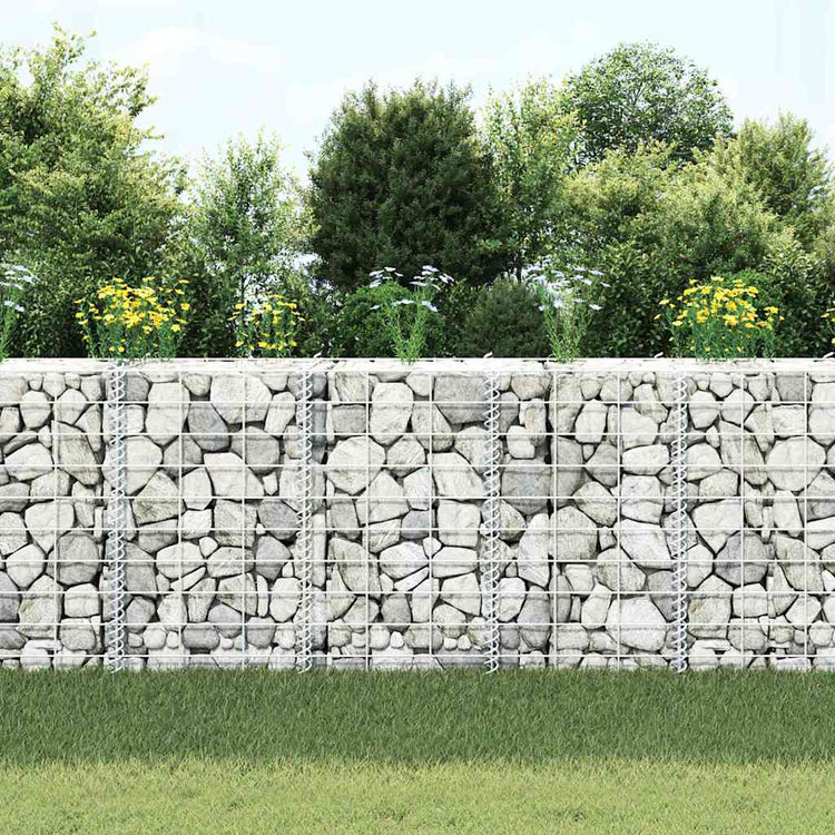Vidaxl Gabion Planters 3 ST RÉPÉSENTATION 30X30X50 CM FER