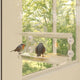 Vidaxl Bird Feed Bacs pour fenêtre 2 PCS 30x12x15 cm acrylique