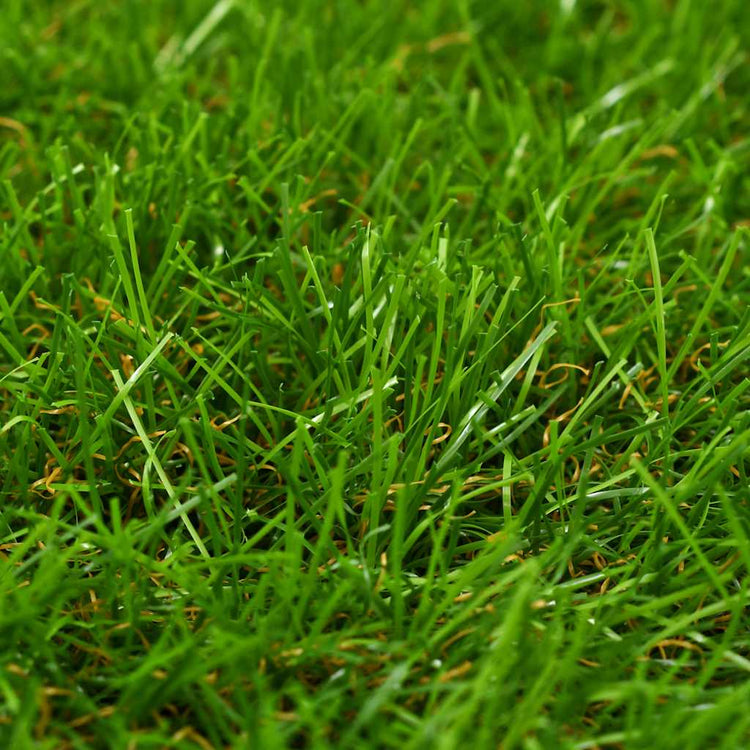 Vidaxl Grass artificiels 1x2 m 40 mm vert