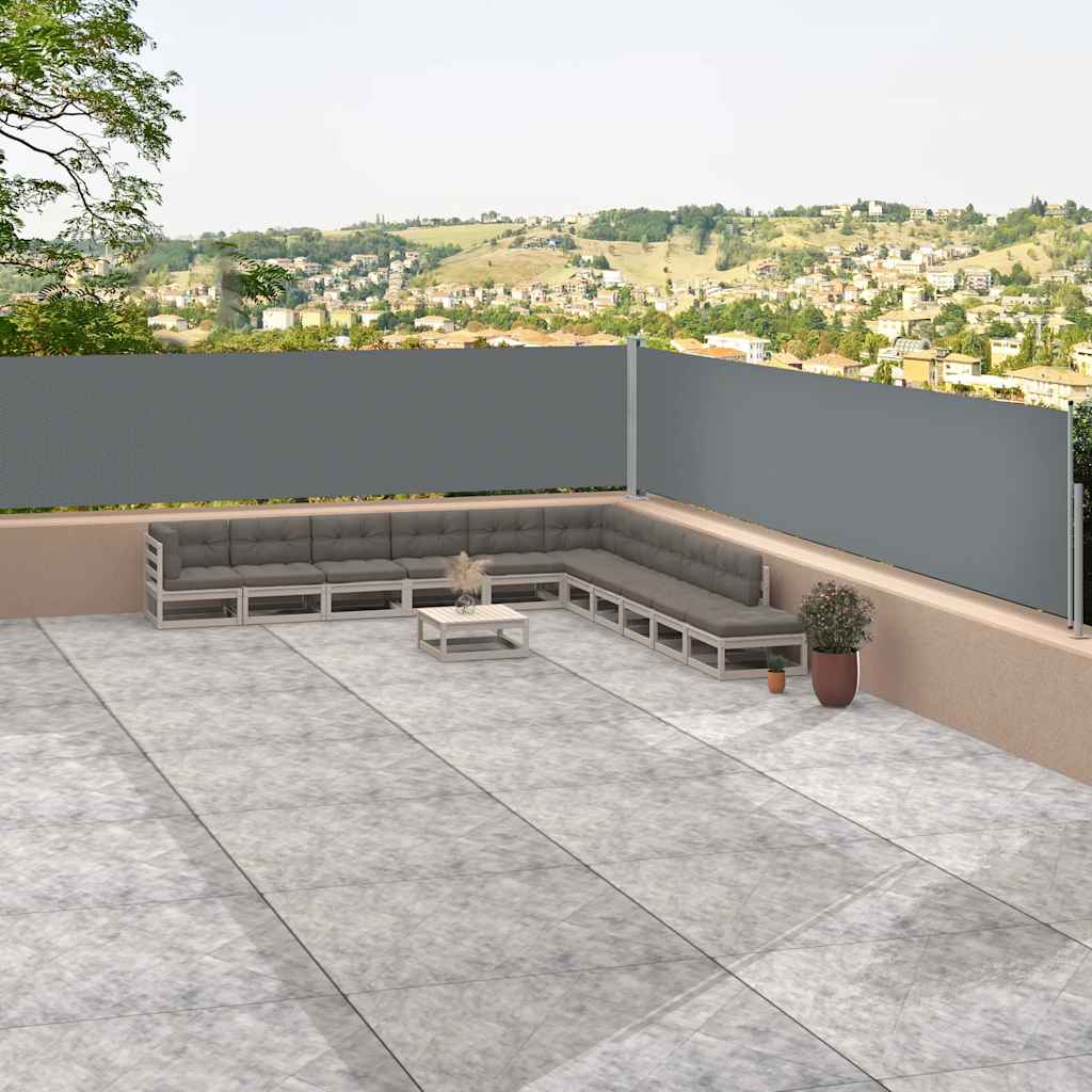 Pare-brise Vidaxl extensible 117x1200 cm anthracite -colored