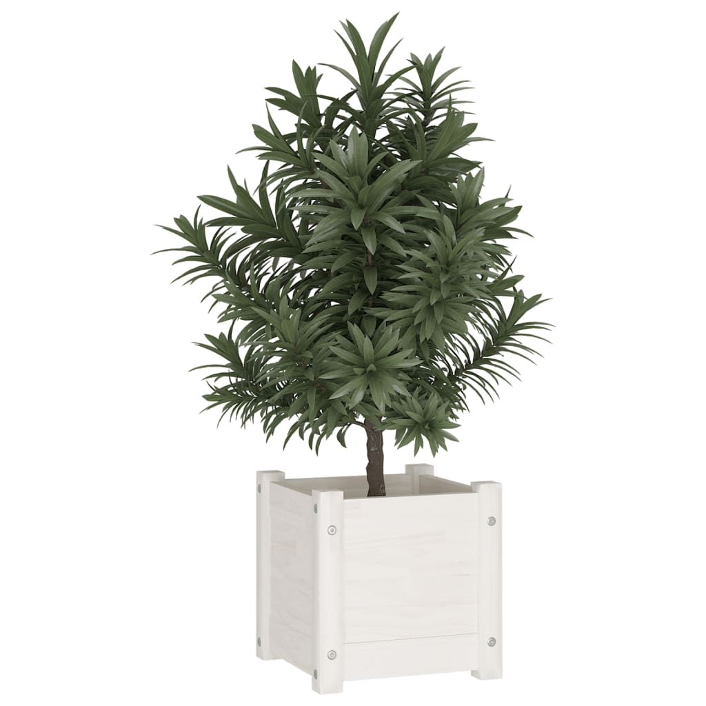 Vidaxl Planning Box 31x31x31 cm Pine solide blanc