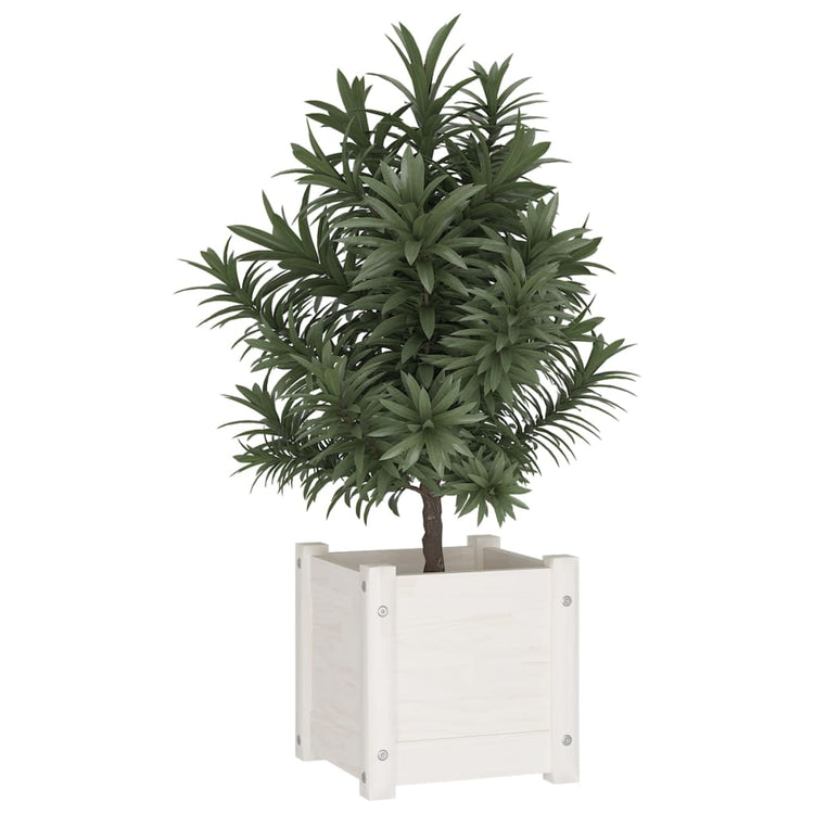 Jardinières vidaxl 2 ST 31x31x31 cm Pine solide blanc